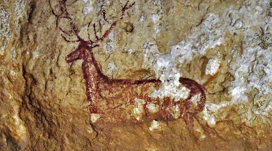 ciervo_chimiachas_pinturas_aqluezar_senderismo_ecoturismo_guias_proyectoakua.jpg